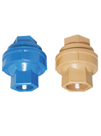 V�lvulas de Reten��o